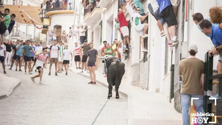 Toro de cuerda Carcabuey 13