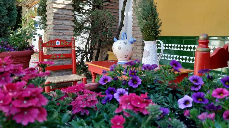 1er premio patios. Patio con Duende. Rute