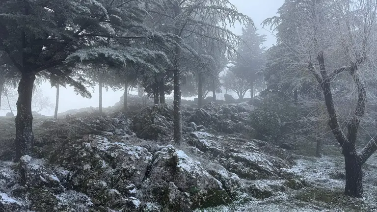 Nevada en la Sierra de Cabra-51