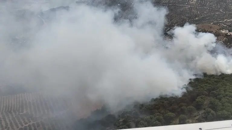 RUTE_Incendio forestal en el paraje del Pinar de Rute_(11-07-2026)_1