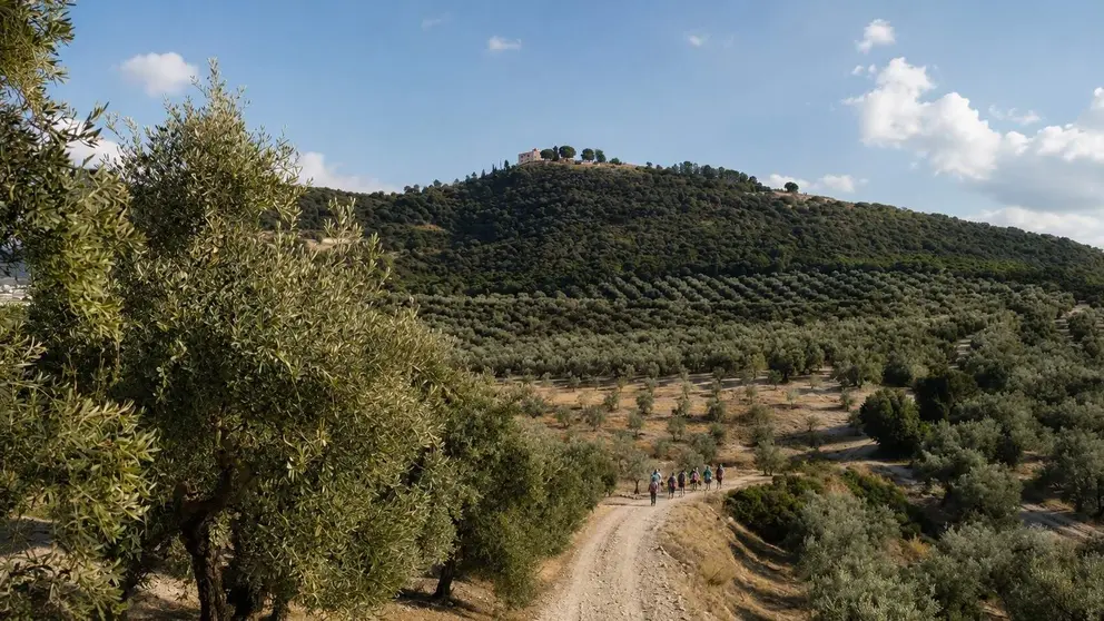 Sierra de Aras