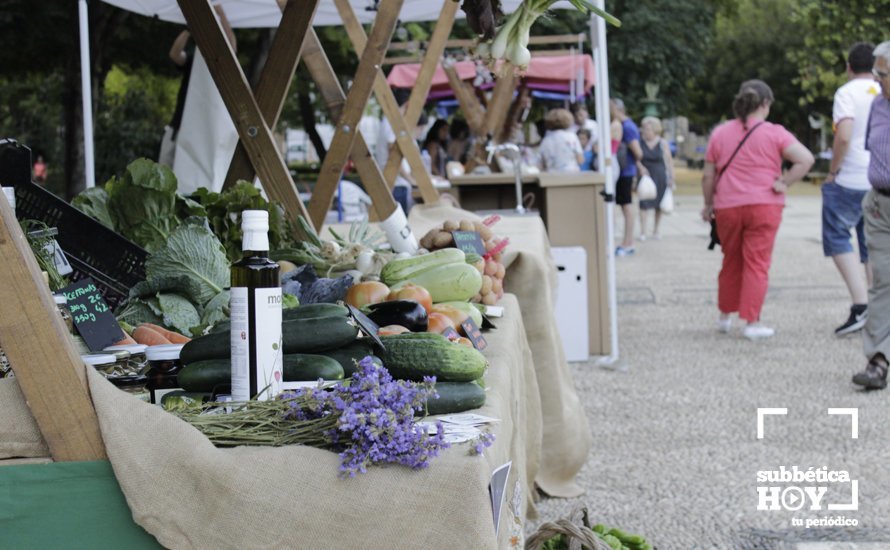 VI Eco-Mercado (3)