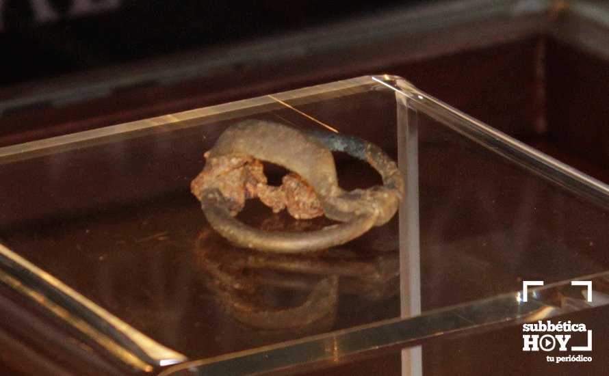 FIBULA CABRA