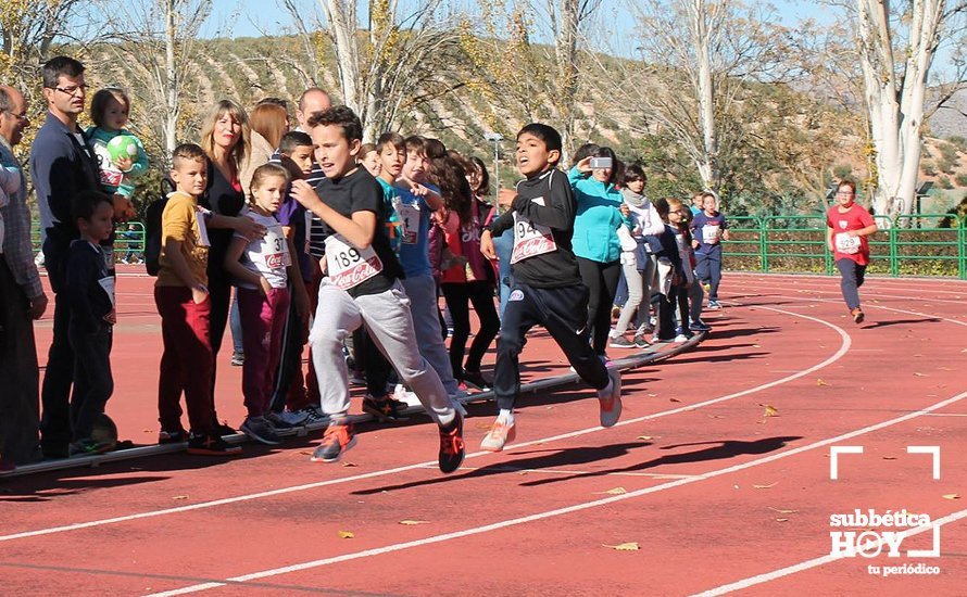 carrera popular priego 31