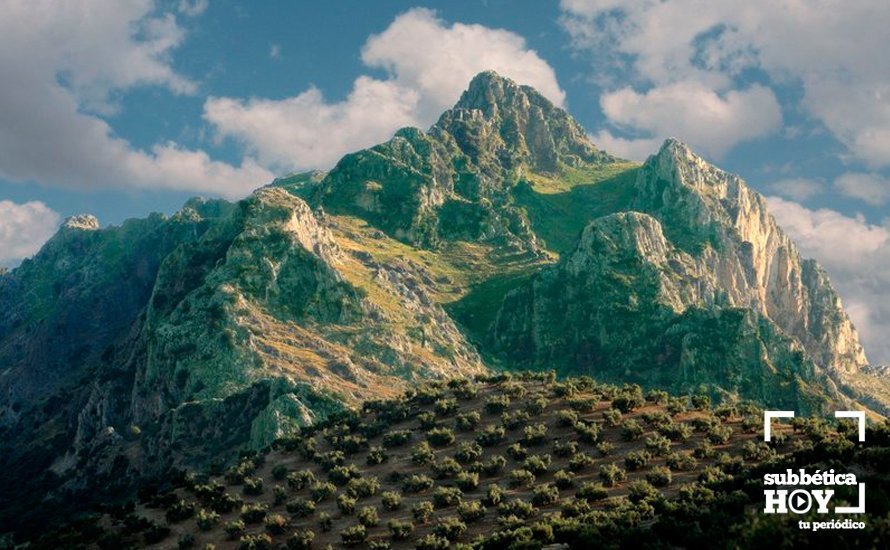 olivar priego andaluciaorg