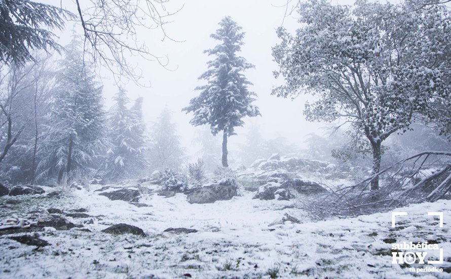 Nevada en el Picacho y la Nava 02