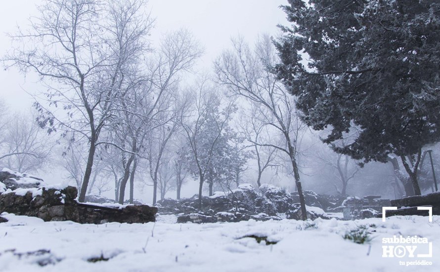 Nevada en el Picacho y la Nava 05