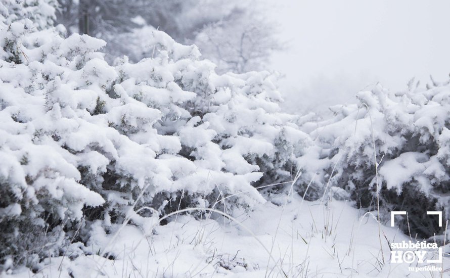 Nevada en el Picacho y la Nava 17