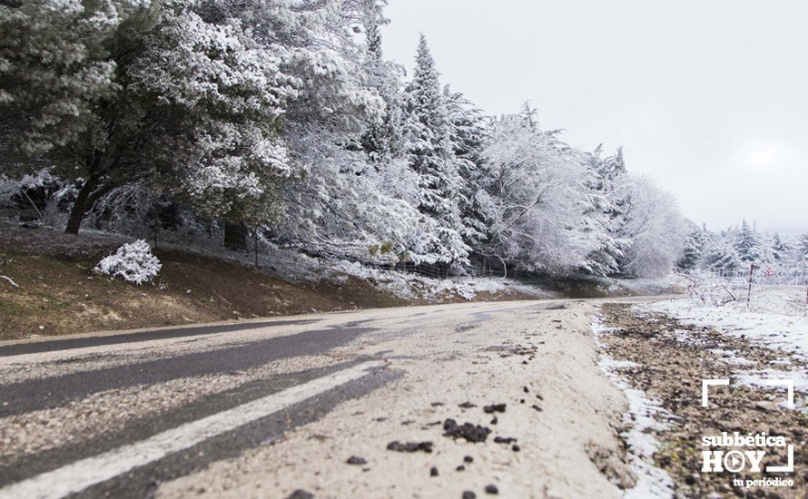 Nevada en el Picacho y la Nava 20