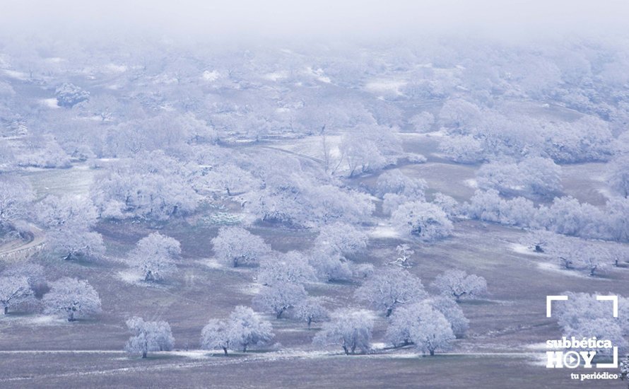 Nevada en el Picacho y la Nava 23