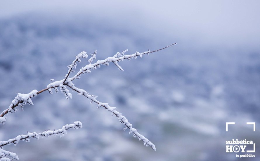 Nevada en el Picacho y la Nava 35