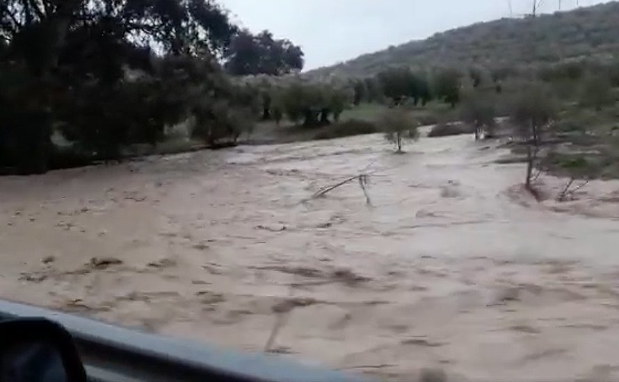 arroyo santamaria cabra