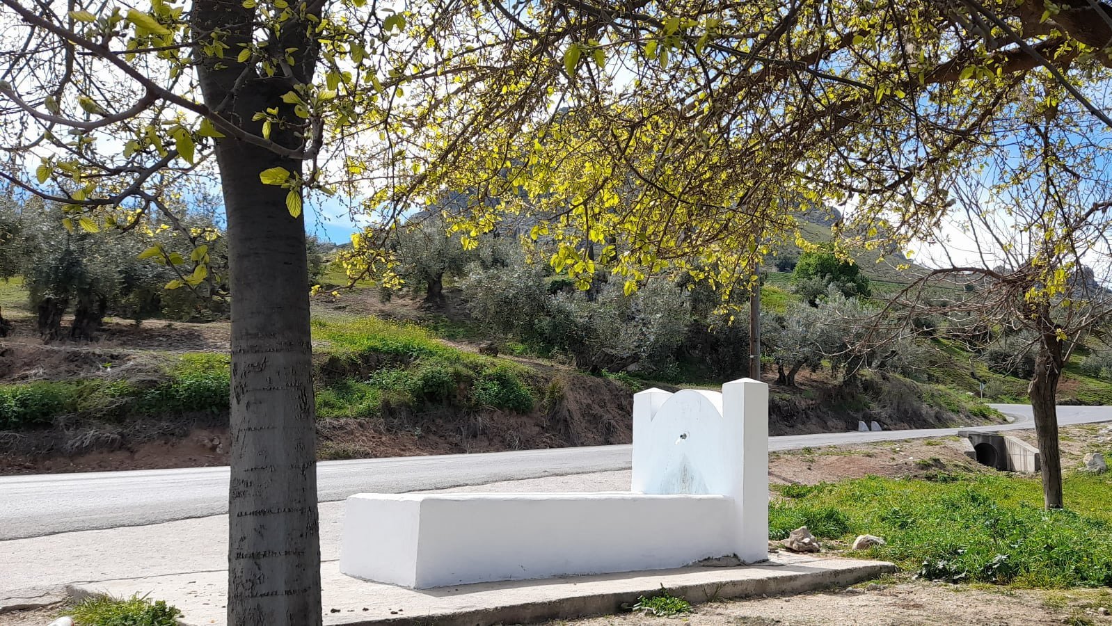 Fuente Luque
