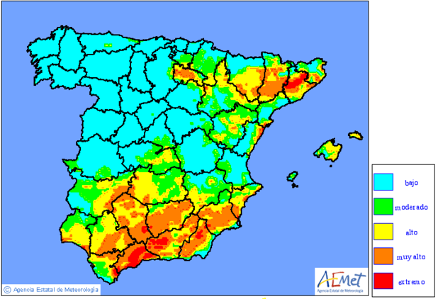 Incendio forestal