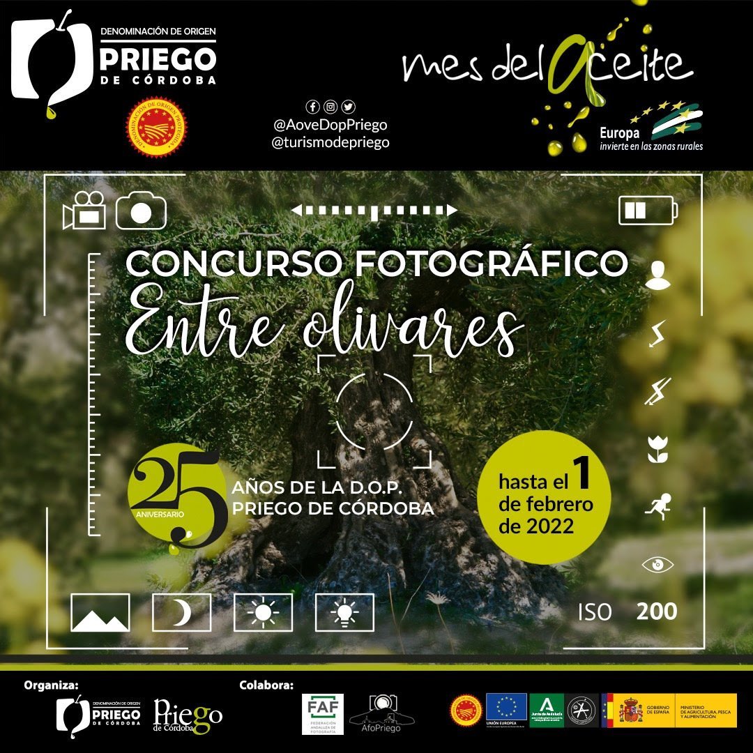 Concurso DOP
