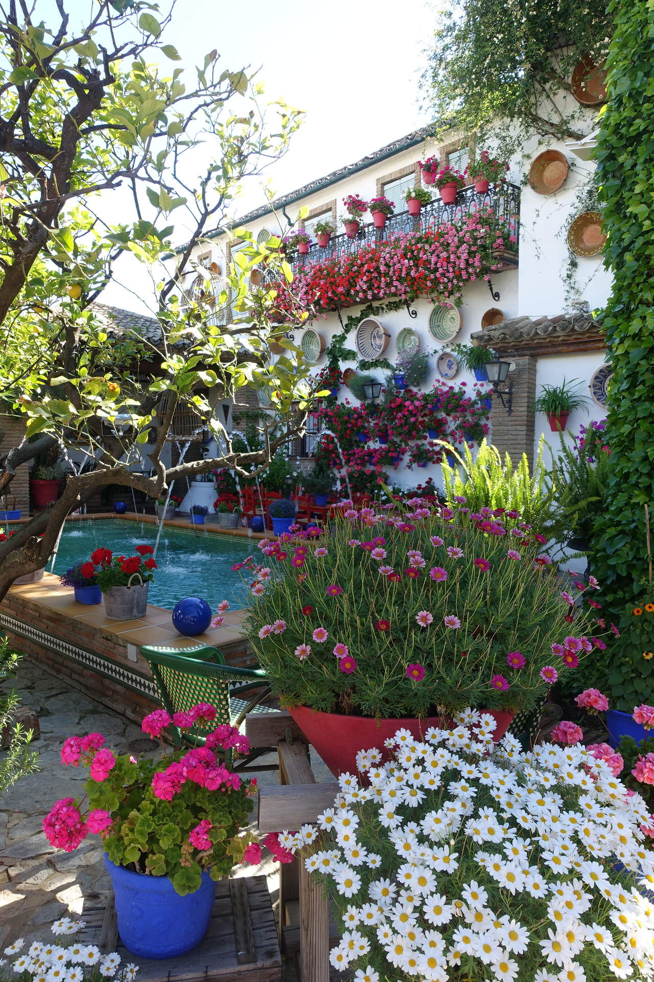 Primer Premio de Patios, en Rute