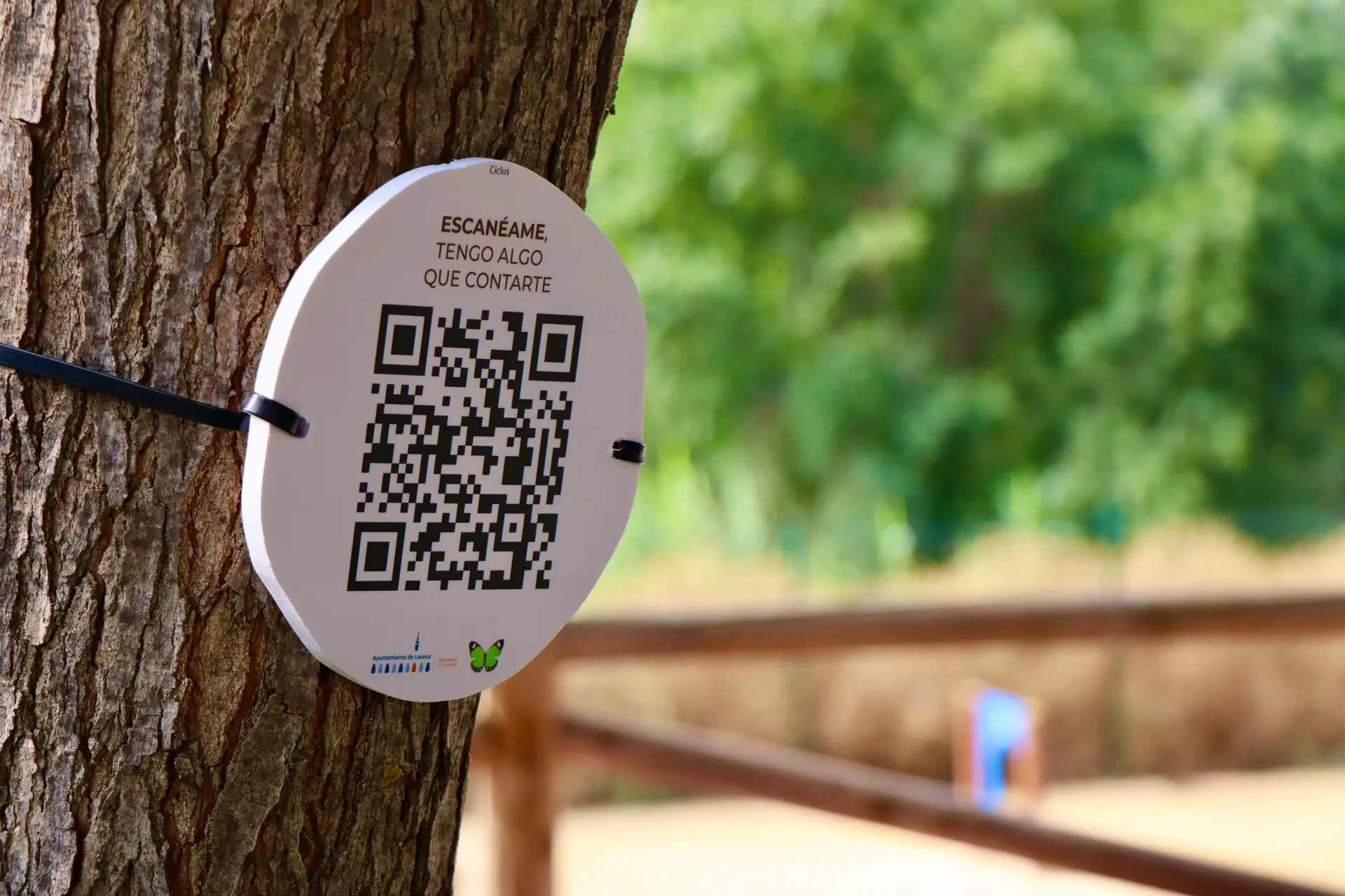 Uno de los códigos QR que permiten acceder a la información