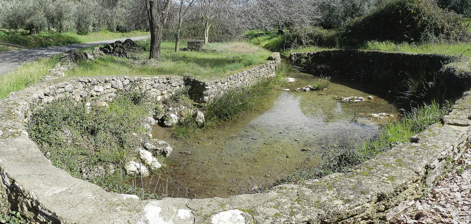 Fuente del Castillejo