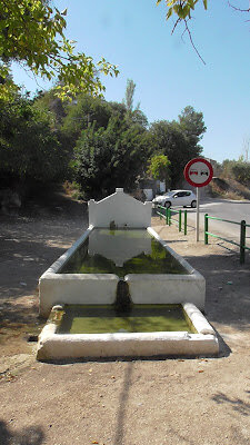 Manantial de Marbella (Luque)