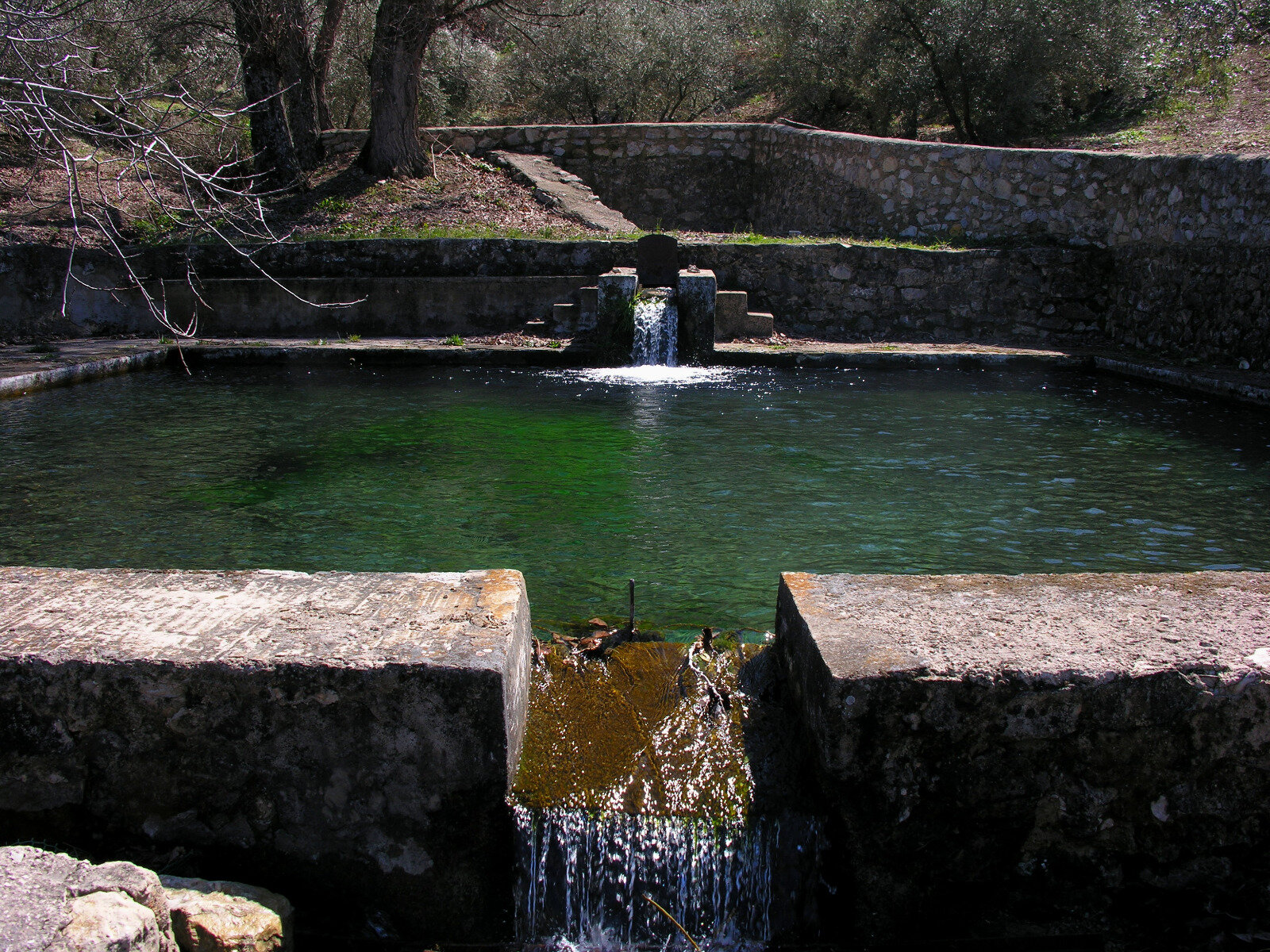 manantiales del Parque Natural14