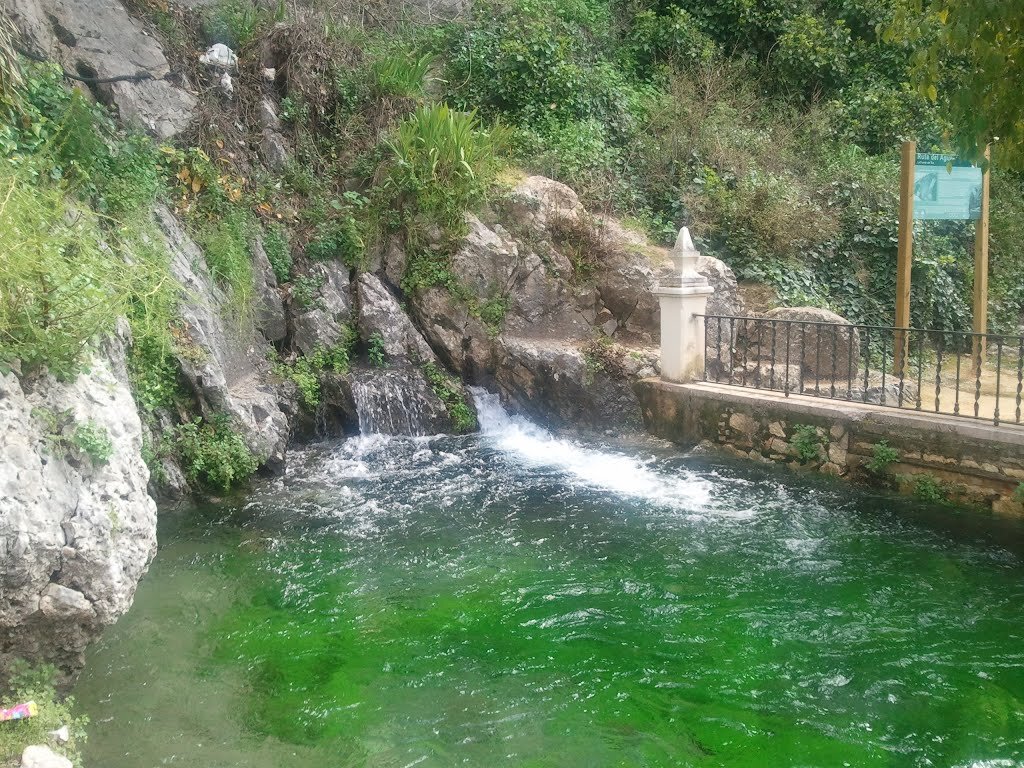 Fuente del Río (Cabra)