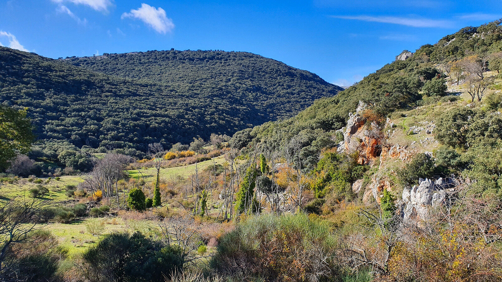 Fuente de la Zarzadilla