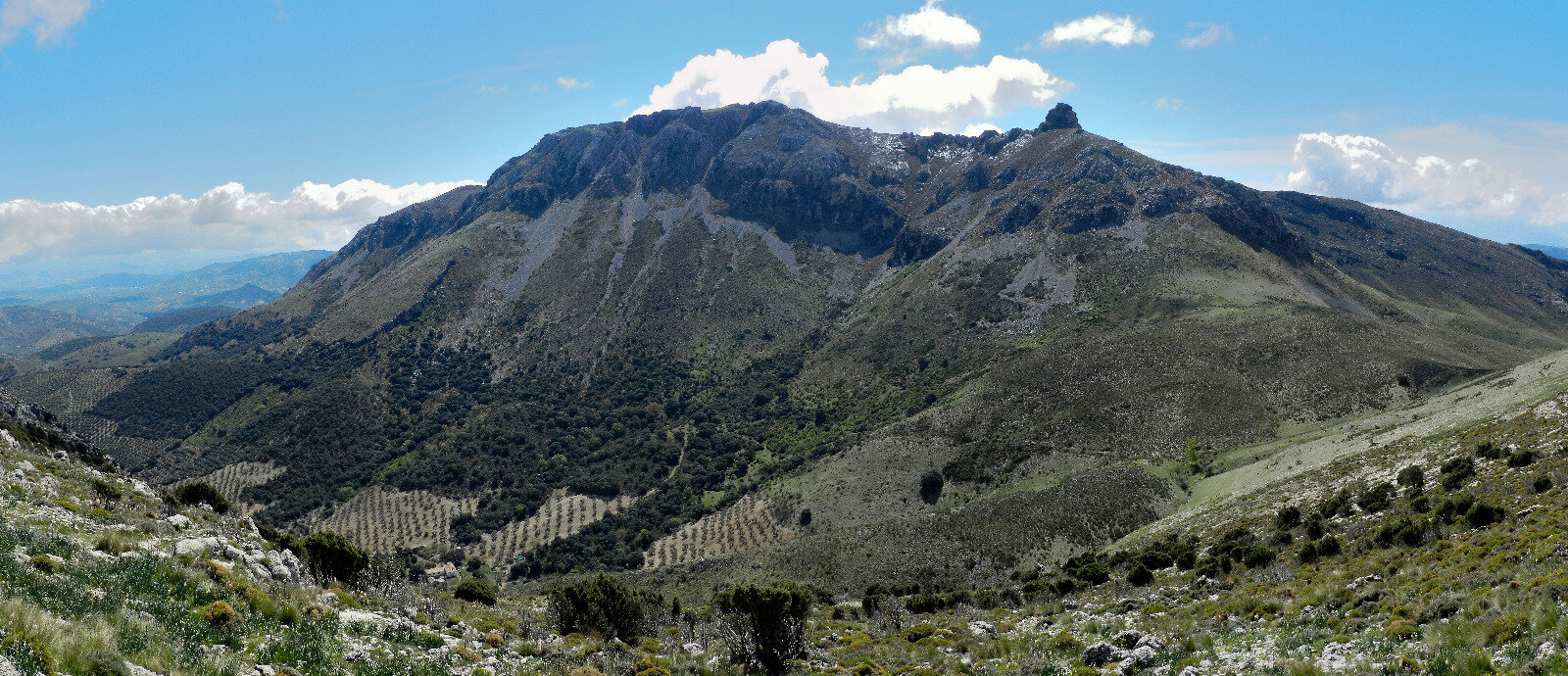 Vertiente norte de la Tiñosa (Foto: Julián García)