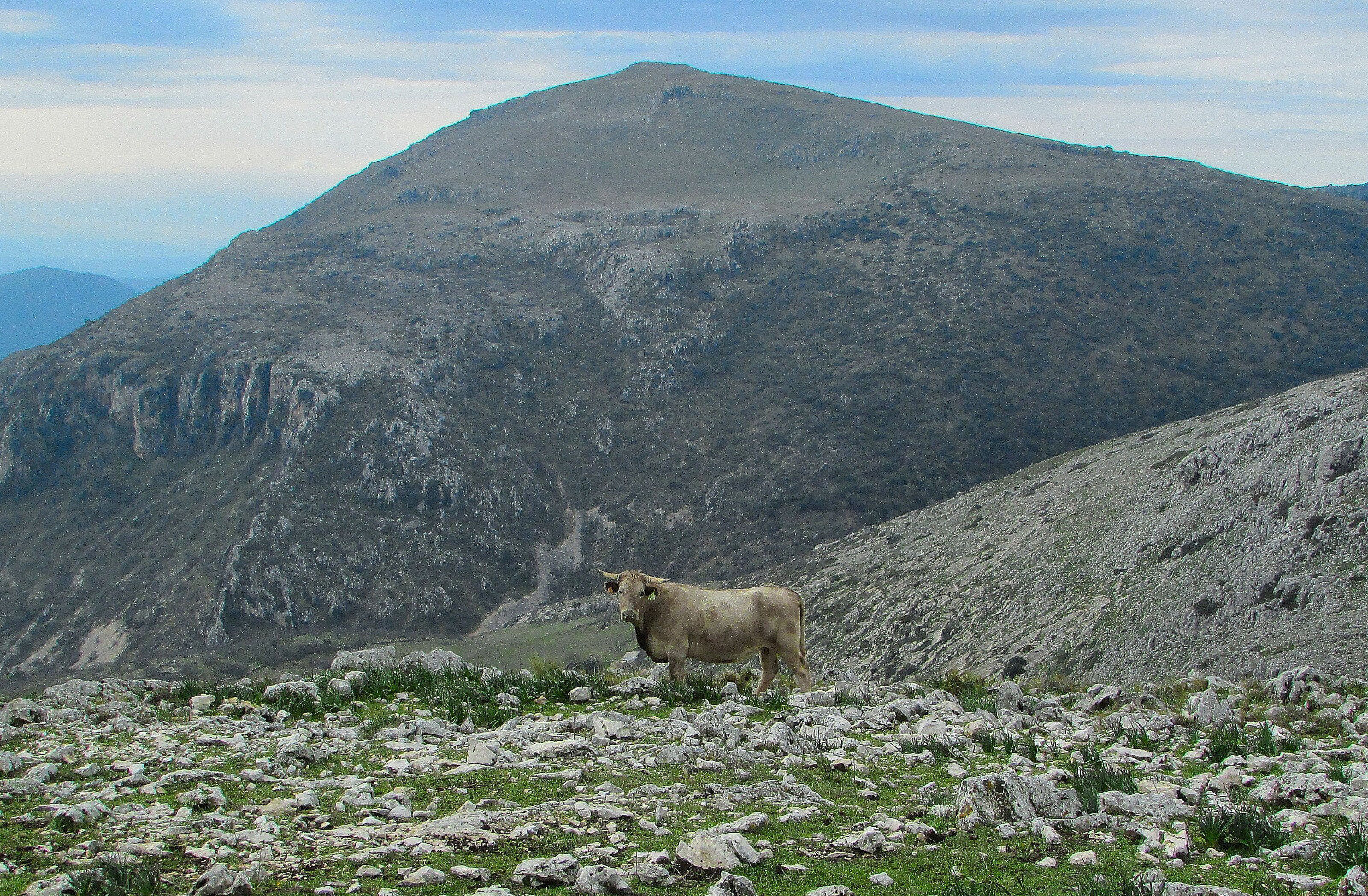 El Pico Lobatejo desde la cima del Cerro Cavio. (Imagen: Julián García)
