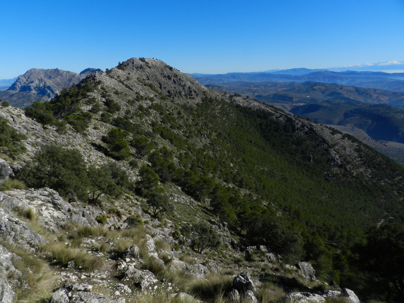 Sierra Alta desde el Cerro de las Cruces. (Imagen: Julián García)