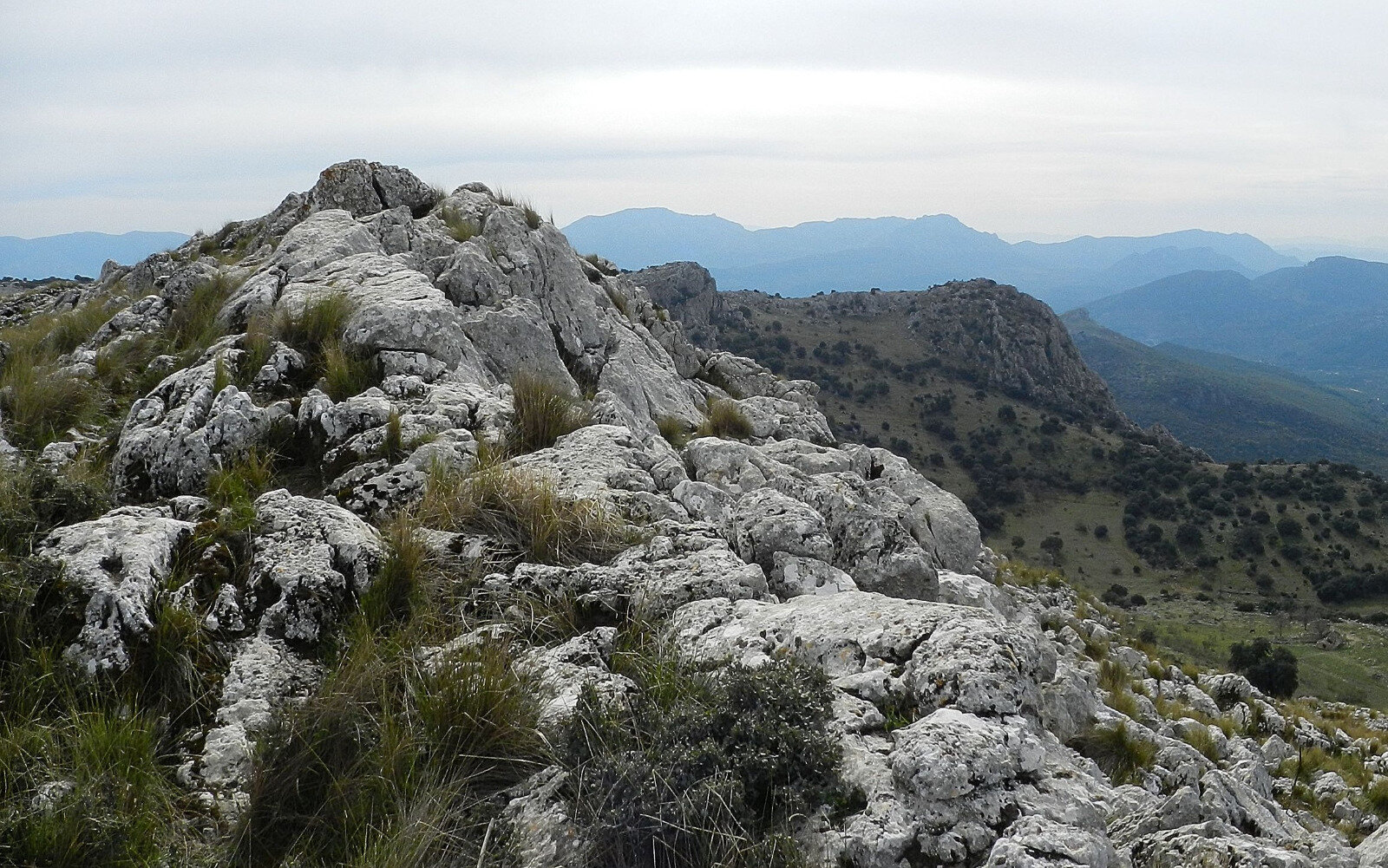Cumbre del Cerro Abuchite. (Imagen: Julián García)