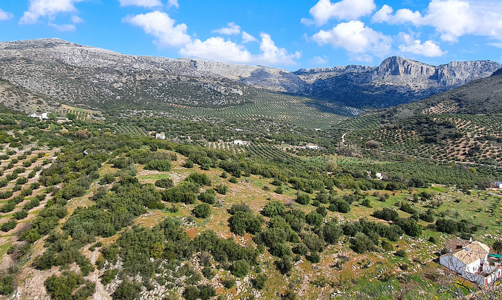 El Cerro Cavio (arriba a la izquierda) sobre el valle de Bernabé. (Imagen: Julián García)