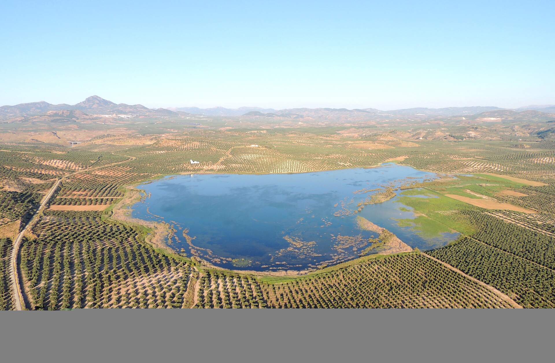 Laguna del Salobral o del Conde (Luque).
