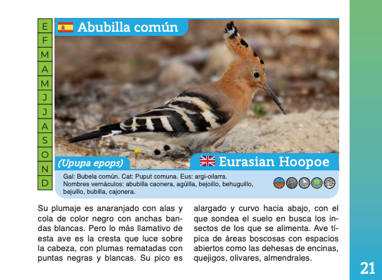 Un extracto de la Guía de Aves de la Subbética editada por la Mancomunidad.