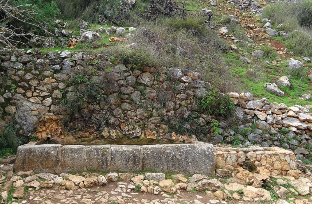 Fuente de la Mora (PNSS)