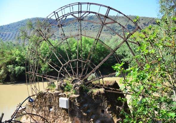 Noria de la Huerta de los Cruces (J. Torres Garrido, abril 2014)