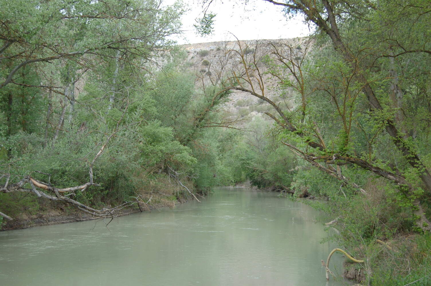 Río Genil. (Imagen: Diputación de Córdoba).
