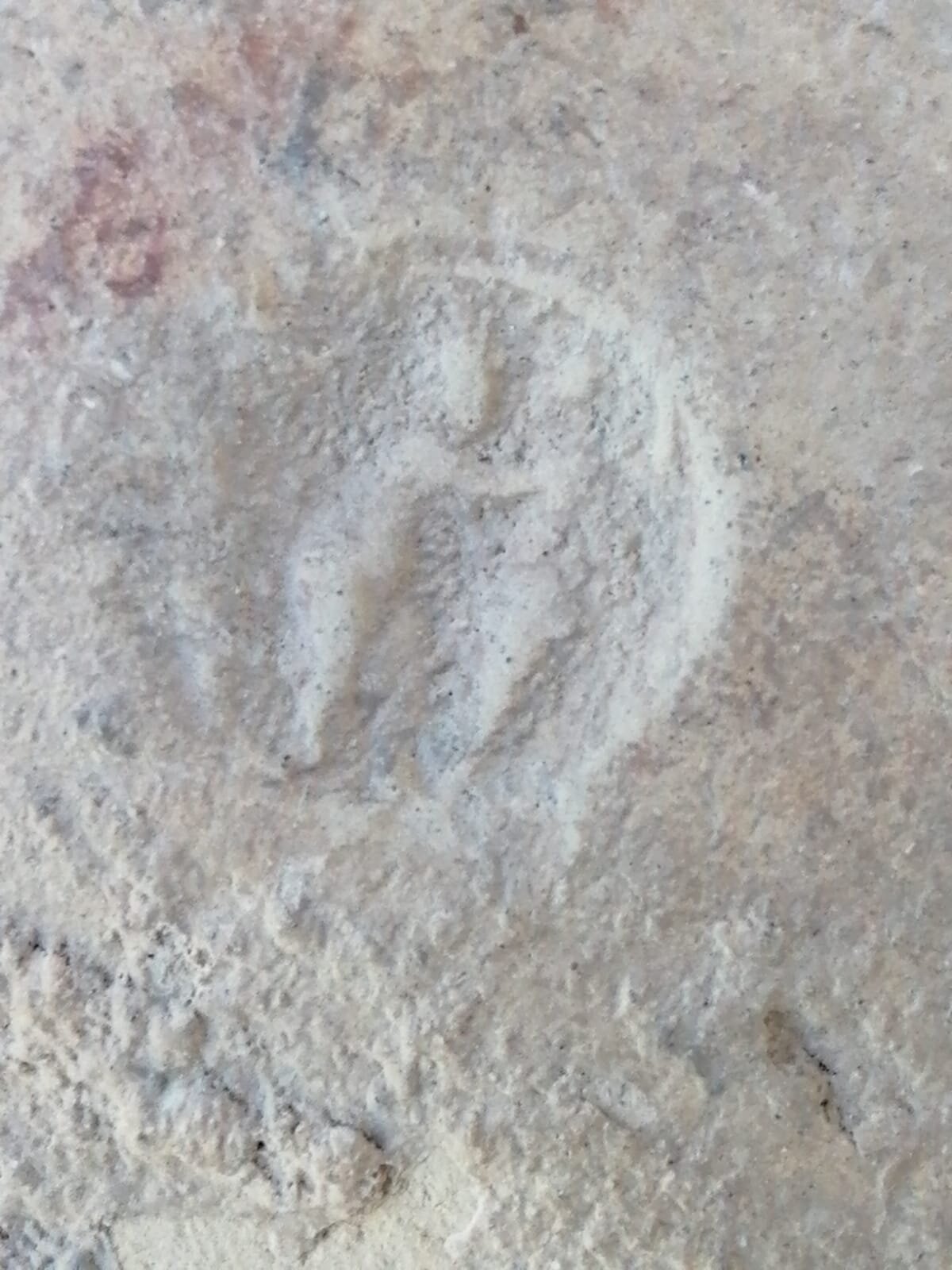 Detalle de la marca