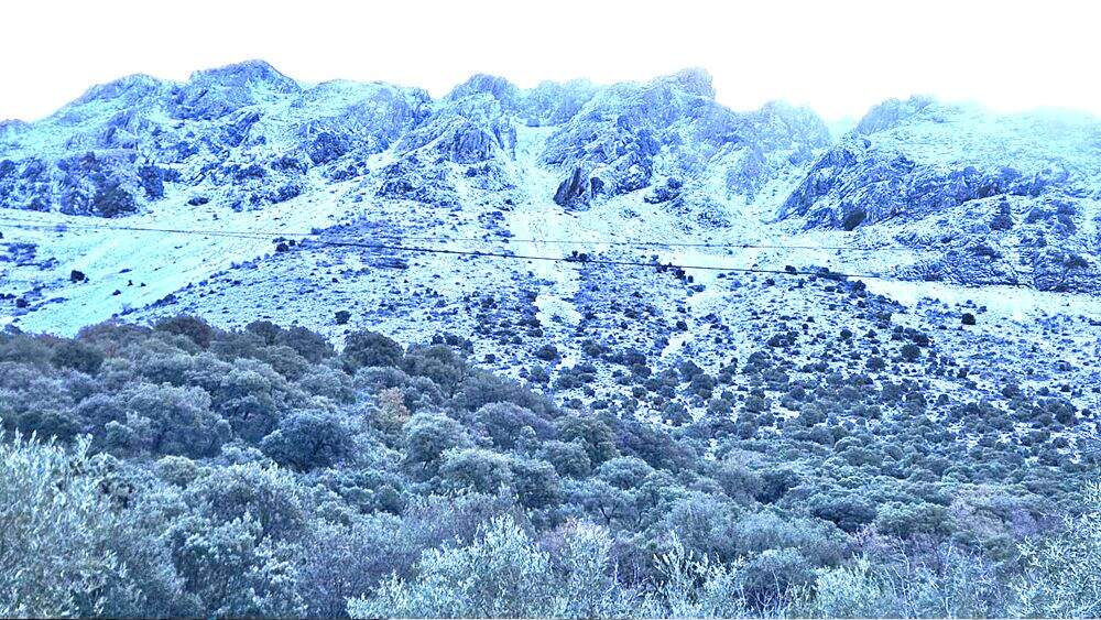 tin-osa-nevada