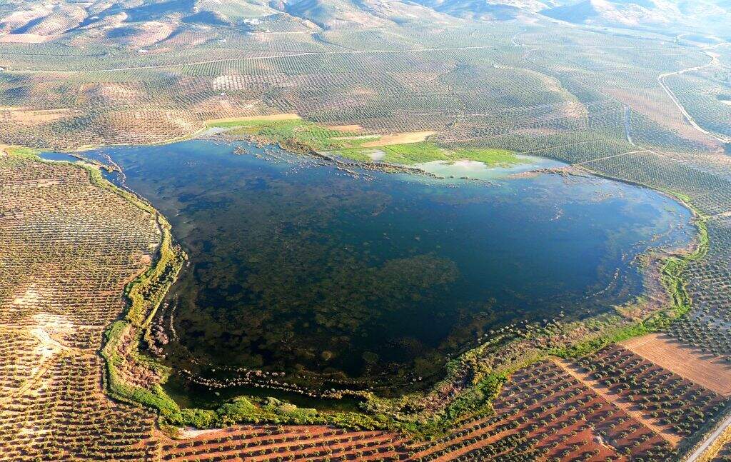Laguna del Salobral en Luque.jpg