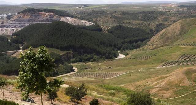 Inmediaciones del Río Genil en Benamejí. / Imagen: Junta de Andalucía.