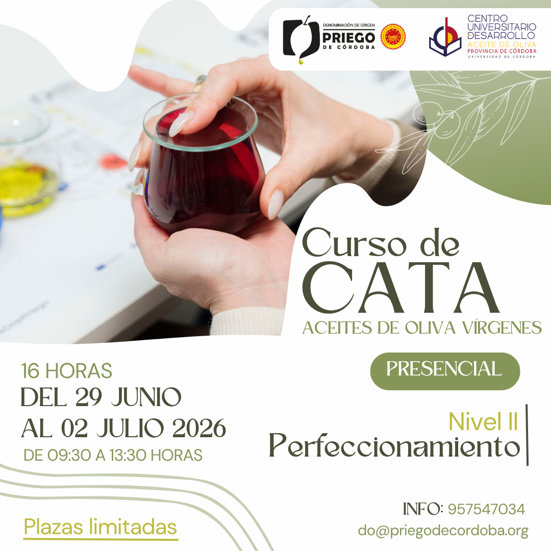 02455450-e271-b7b8-96e5-ffffa05b46d9