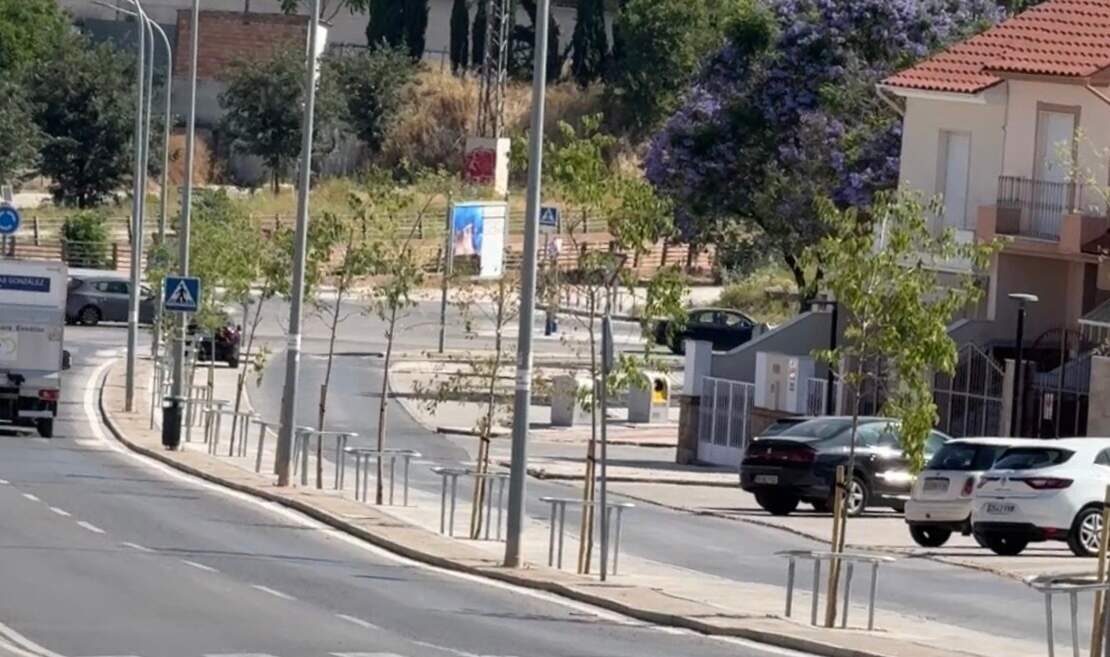 Nueva plantación de árboles en Ronda del Valle.