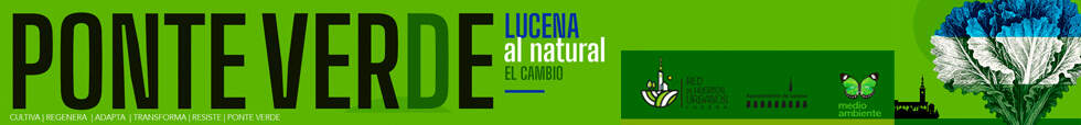 Publicidad 45233