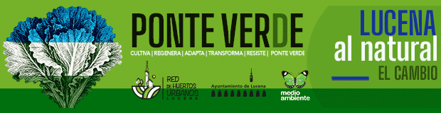 Publicidad 46404