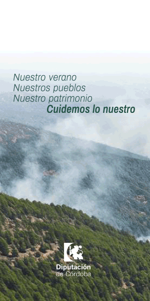 Publicidad 45288