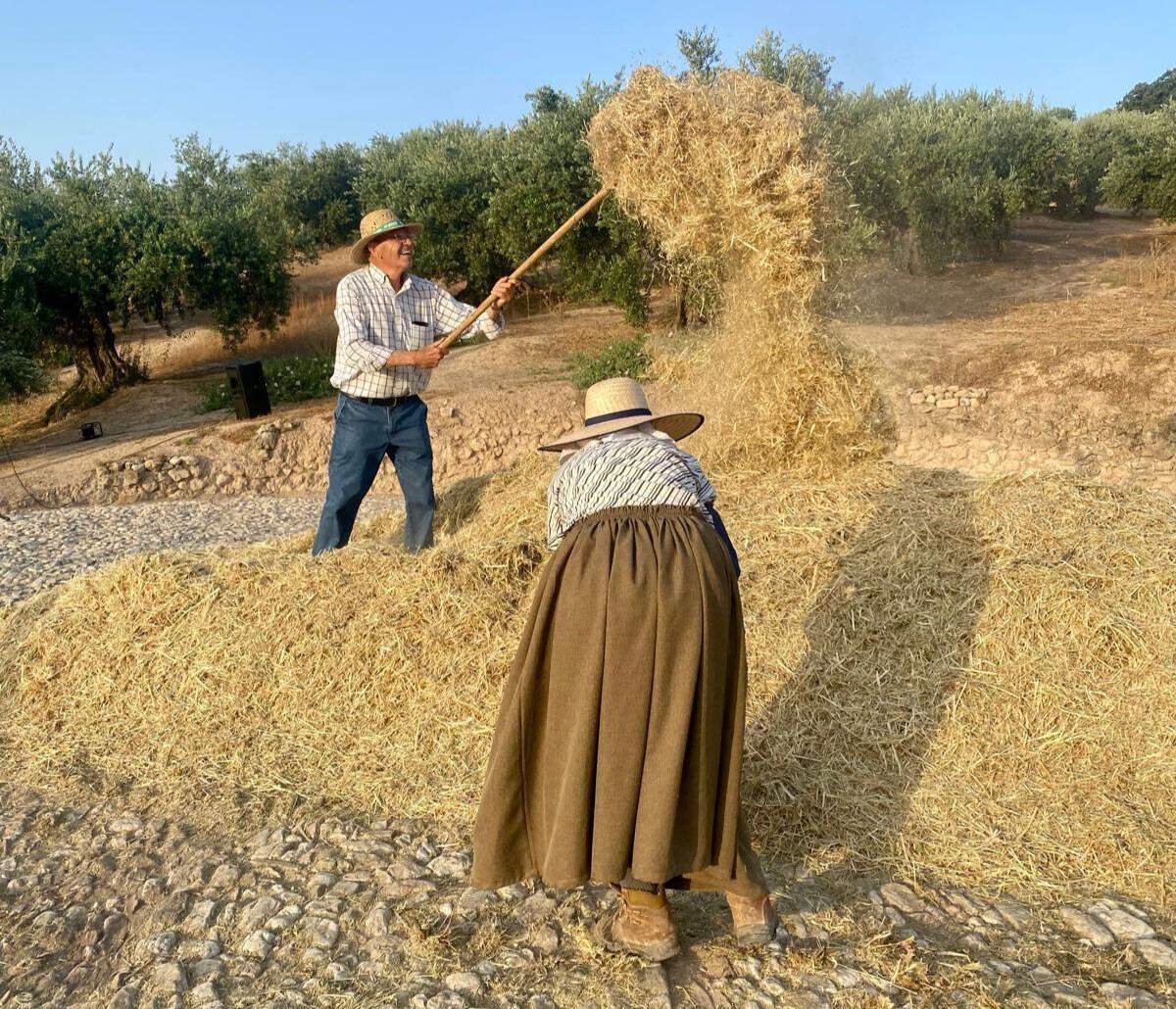 Una imagen de las labores de aventado durante la actividad del año pasado.